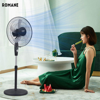 Romane  Quạt điện quạt sàn quạt điện quạt gia đình quạt sàn gia đình quạt sàn im lặng quạt sàn quạt nhà