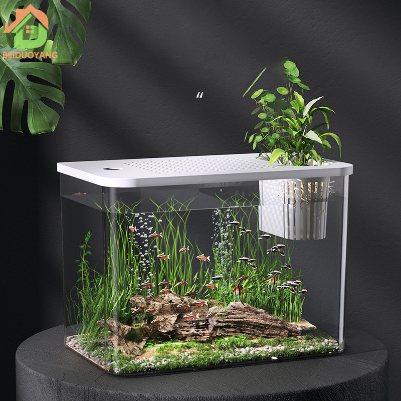 Beiduoyang Sinh Thái Betta Tank Phòng Khách Mini Gia Đình Lớn Và Nhỏ Bể Cá Trong Suốt Cá Vàng Bể Rùa Cảnh Quan Xe Tăng Có Nắp