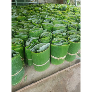 1kg lá chuối tươi dùng để gói bánh, gói xôi