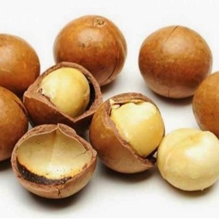 Hặt Mắc ca - Gói 500gr - Hạt béo bùi và ngon