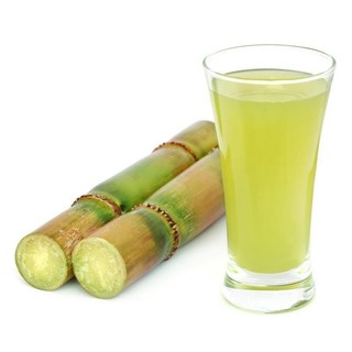 Combo 5 Hom mía đường, mía giống