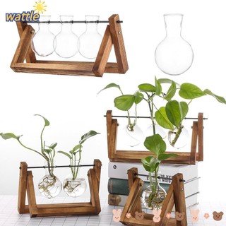 Chậu kính trồng cây thủy sinh khung gỗ để bàn trang trí nhà cửa