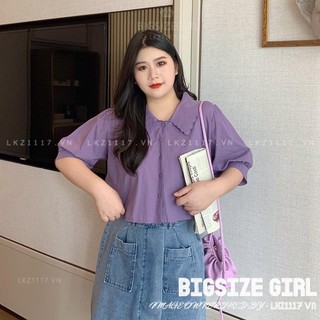 Áo sơ mi Bigsize Áo croptop tay ngắn cổ bèo mùa hè Phong cách Hàn Quốc Thời Trang tiểu thư cá tính xinh đẹp cho người mập béo
