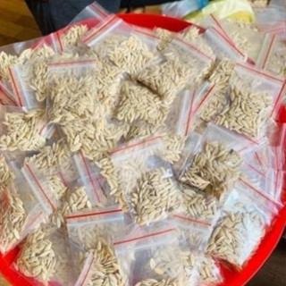 Hạt Giống Dưa Mèo Quả Siêu To (gói khoảng 100 - 120 hạt)