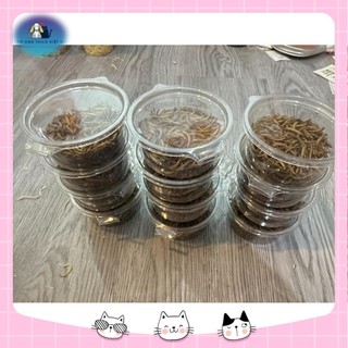 Thức Ăn Vặt Cho Hamster , Thỏ , Bọ Ú , Sóc (Hỏa Tốc Vũng Tàu)