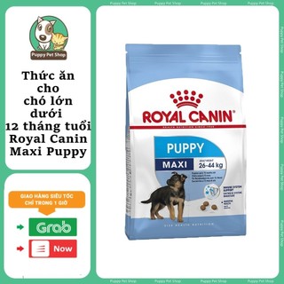 Royal Canin Maxi Puppy 10kg - Thức ăn cho dòng chó lớn dưới 12 tháng tuổi