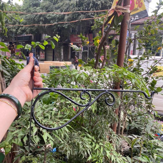 Móc treo lồng chim móc treo lồng chim gắn tường sắt và phun sơn tĩnh điện 40cm