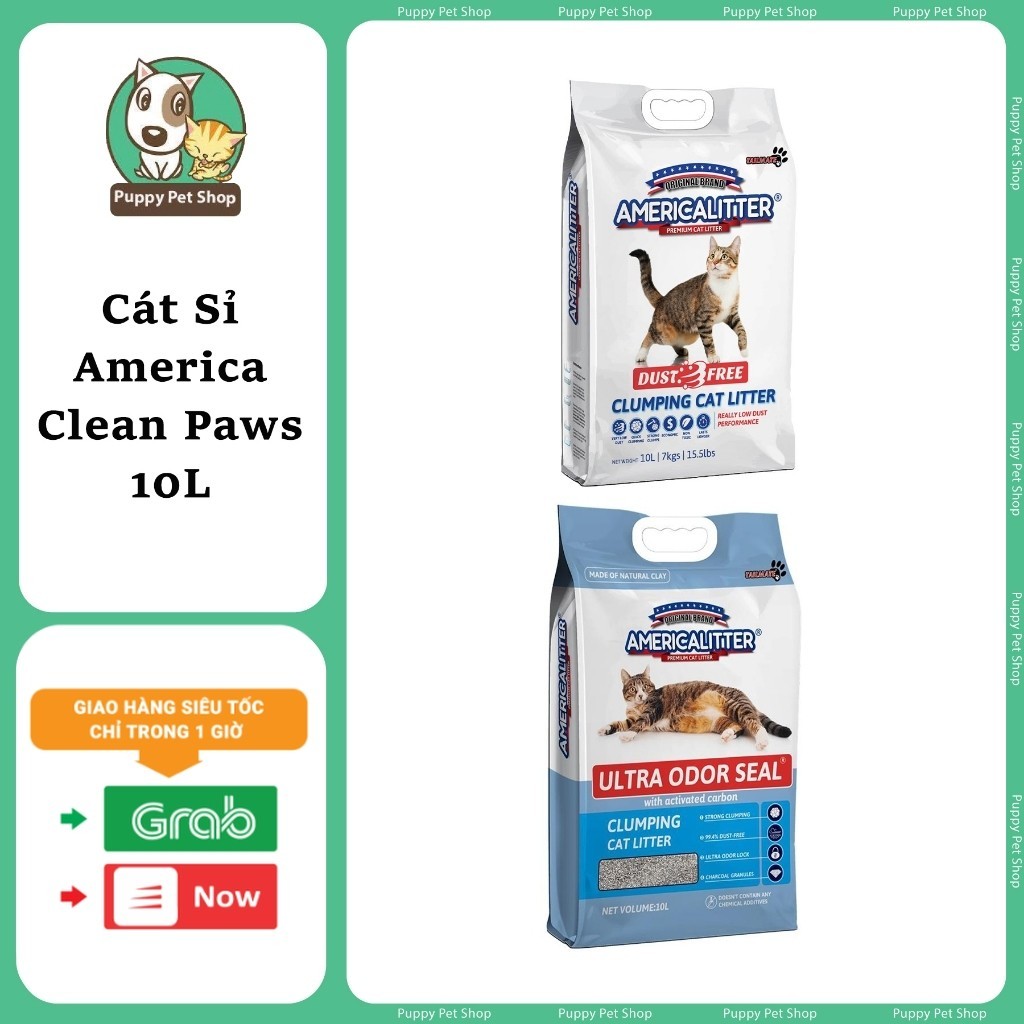 Cat Ameria 10L