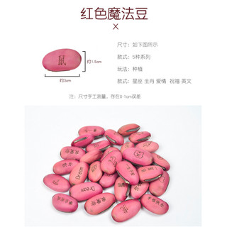 Love Magic Bean Red Bean Magic Bean Seed Cây Mini mới lạ