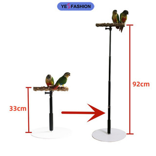 Giá đỡ đứng bằng acrylic có thể điều chỉnh chiều cao cho lồng chim vẹt