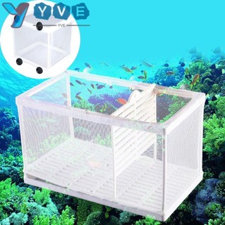 Máy ấp trứng bể cá YVE Máy tạo giống Guppy Nuôi ấp đôi