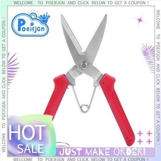 Kéo cắt tỉa tay làm vườn Kéo cắt tỉa cắt tỉa Micro-Tip Cắt tỉa lá Kéo cắt hoa thẳng cho cây