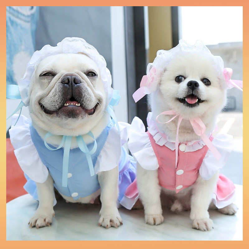 [Baystar] Quần áo cho chó cưng Mèo Trang phục hóa trang cho bữa tiệc sinh nhật Halloween Tiệc cưới