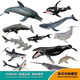 ♞Nhà sản xuất Bán buôn♞Mô Phỏng Đại Dương Mô Hình Động Vật Bộ Cá Mập Trắng Lớn Megalodon Cá Heo Cá Mập Đồ Chơi Trẻ Em Nhựa Chắc Chắn Đồ Trang Trí