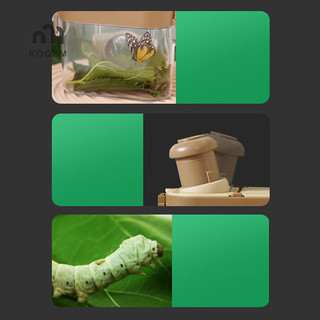 Bộ quan sát viên hộp côn trùng ngoài trời Bộ dụng cụ quan sát côn trùng Lồng bắt côn trùng Khoa học trẻ em Dụng cụ khám phá thiên nhiên