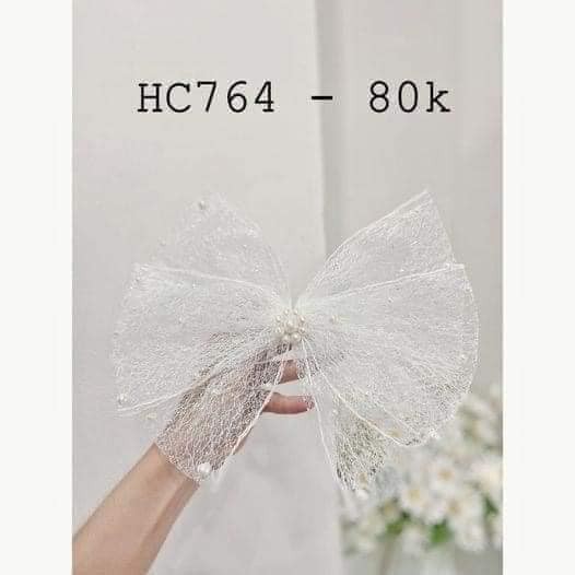 Cài nơ xơ mướp 80k HC300💥