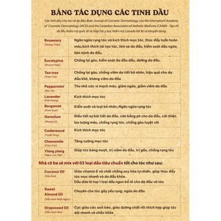 Tinh dầu Tràm Gió Cajeput Hermione (10ml)