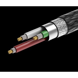 Dây USB B ra LN Fiio LD-LT1