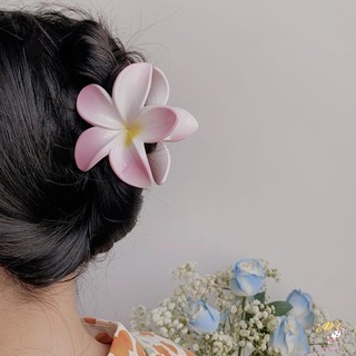 Kẹp tóc hoa Plumeria Giữ chắc chắn Thiết kế kiểu Pháp Kẹp tóc hàm nhựa