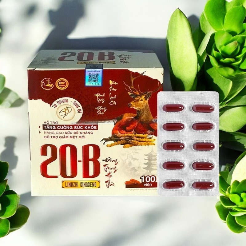 Vitamin 20B Linhzhi GINSENG Đông trùng hạ thảo - Hỗ trợ tăng cường sức đề kháng,bồi bổ sức khỏe