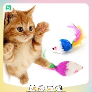 Chuột lông vũ đồ chơi cho mèo🐹
