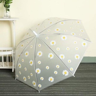 Ô trắng trong suốt hoa cúc chống nước chụp ảnh phong cách hàn quốc - ô dù trong suốt