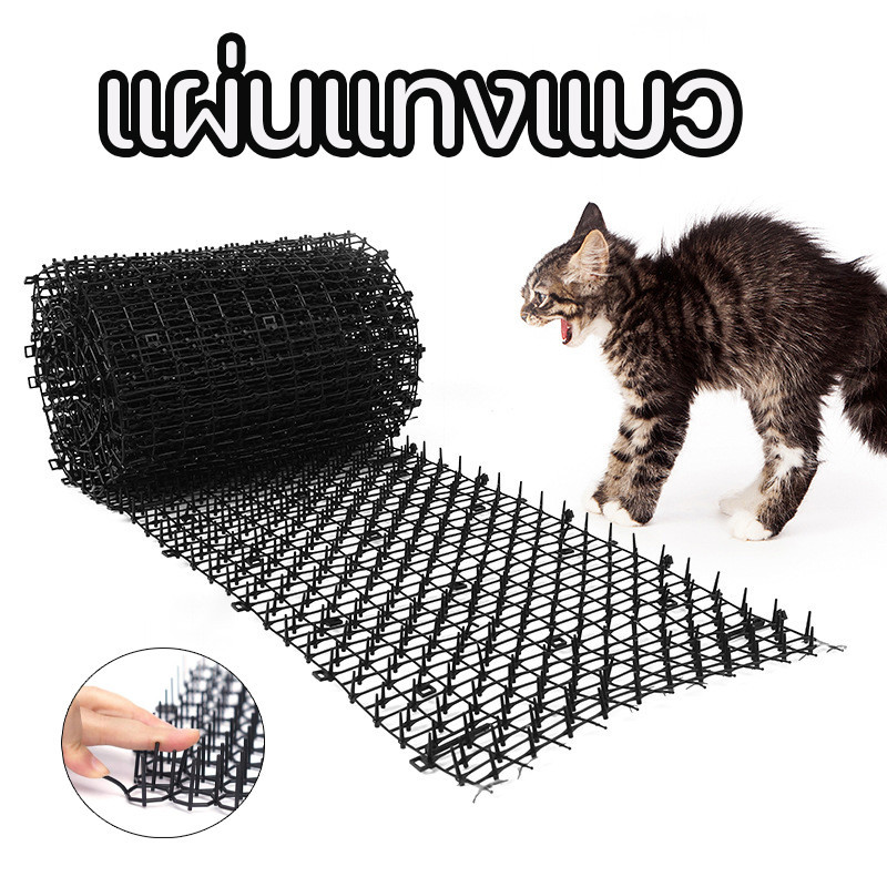 Tấm chống muỗi cho mèo Tấm chắn tấm bảo vệ chó