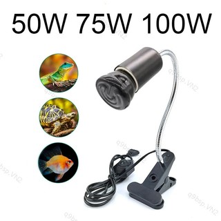 Rùa basking chiếu sáng e27 eu cắm 220v mini thú cưng bò sát bộ đèn nhiệt kẹp đèn gốm giữ bộ sưởi vn9b2