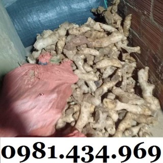 Củ Mía Dò (Cát Lồi) 01KG Tự Nhiên Đẹp
