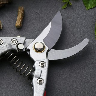 Kéo cắt cành cây SADA 210(Nhật Bản) - CIRAN