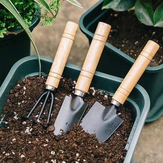 Bộ 3 Món Dụng Cụ Làm Vườn (Xẻng Làm Vườn - Xới Đất - Cào Đất)