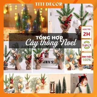 Tổng hợp cây thông noel trang trí nhà cửa, đạo cụ chụp ảnh sản phẩm, decor trang trí, phông nền chụp ảnh - TiTi Decor
