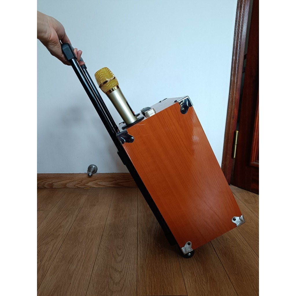 Loa Kéo Karaoke ONTEKCO Hozing 8002 Loa Bluetooth Kèm 2 Micro Bass 20cm, Chống Hú Cao Cấp Vỏ Gỗ Lưới Mạ Vàng | BigBuy360 - bigbuy360.vn