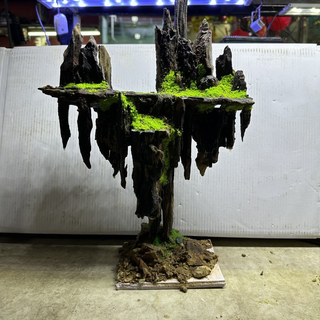 Layout đảo bay cho hồ 40cm bằng lũa San Đá Miếng _thủy sinh Giá Rẻ AQUAGOLD