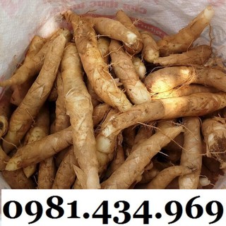 Sale-củ bình tinh 01kg chuẩn
