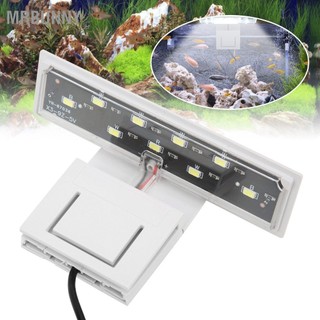 Mrbunny Kẹp Bể Cá Đèn HighBrightness Led Cho 100240V