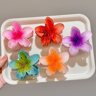 5 gói kẹp frangipani màu gradient cho phụ nữ lưng đầu kẹp tóc cá mập và kẹp tóc khí chất