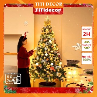 Set Châu Noel Trang Trí Cây Thông Giáng Sinh, Decor nhà cửa, chụp ảnh, cửa hàng - TiTi Decor