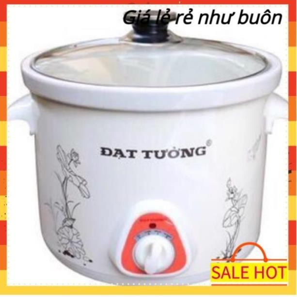 Nồi nấu cháo cho bé nấu chậm, nồi kho cá điện Đạt Tường giữ nguyên chất dinh dưỡng