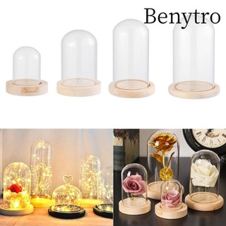 Benytro thủy tinh thiết kế trong suốt dùng đựng hoa giả tiện dụng cho trang trí nhà cửa
