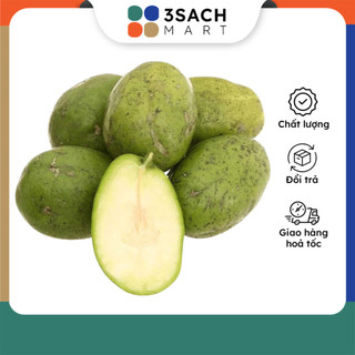 Trái cóc xanh size lớn