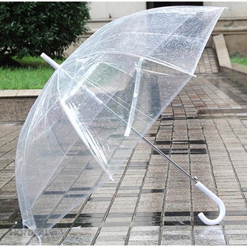 Ô trong suốt phong cách hàn quốc