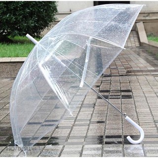 Ô trong suốt phong cách hàn quốc