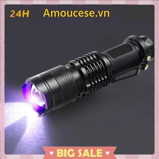 Đèn pin LED UV Đèn kiểm tra chạy bằng pin Dụng cụ dò vết bẩn nước tiểu cho thú cưng