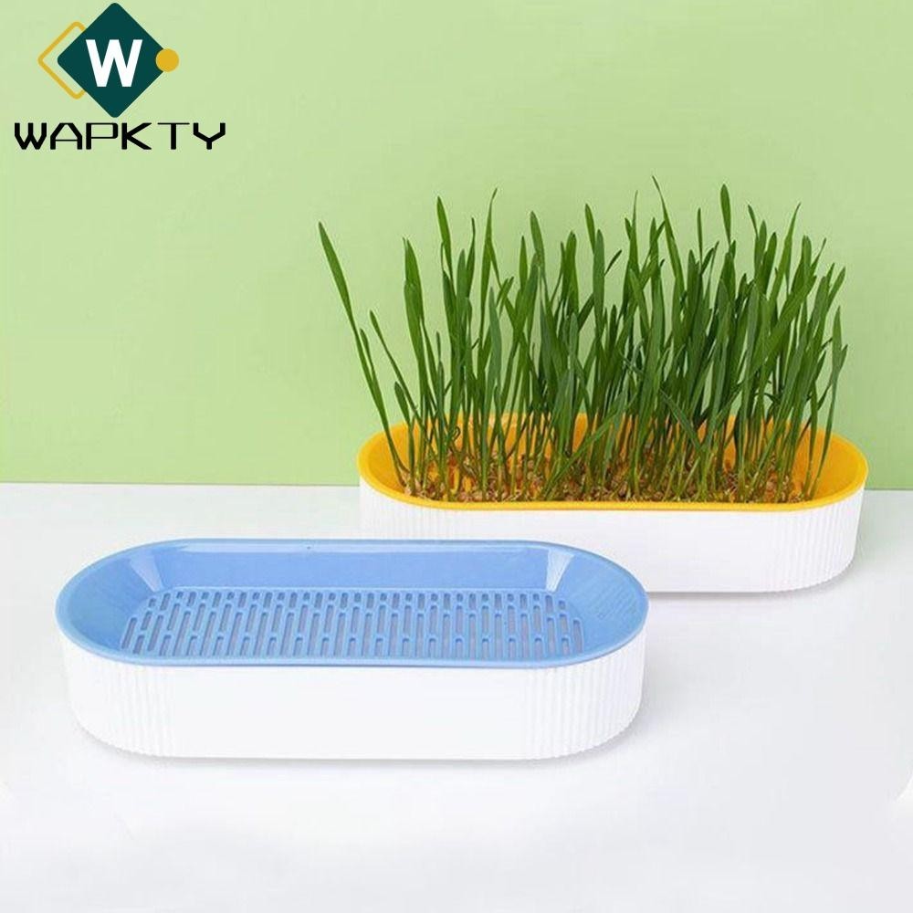 WAPKTY Chậu trồng trọt, PP Grow Germination Cat Grass Box, Hộp trồng trọt không đất có thể tái sử dụng đa chức năng Đĩa ăn