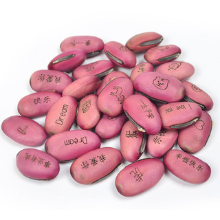 Love Magic Bean Red Bean Magic Bean Seed Cây Mini mới lạ