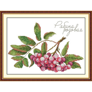 Joy Sunday Stamped Cross Stitch Ktis DMC Threads Trung Quốc Cross Stitch Set DIY Needlework Thêu Kit- Fruit Series 1