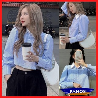 Áo sơ mi kiểu nữ áo sơ mi kẻ croptop cổ bẻ trắng tay bồng cá tính A693 PANOSI