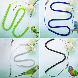 Vẹt Dây Xích Chim Bay Huấn Luyện Dây Vẹt Cockatiels Starling Budgie