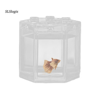 Bể Cá Mini Có Đèn LED Độc Đáo Trang Trí Bể Cá Sinh Thái